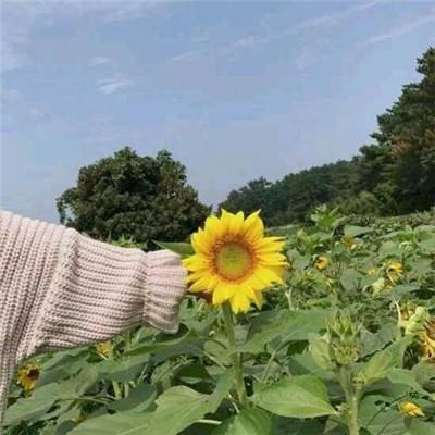 果汁爆爆乐游戏下载